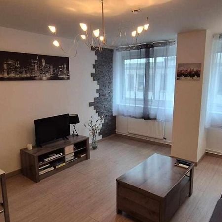 Nouveau !! Appartement Confortable Totalement Renove Avec Parking Gratuit - Hypercentre De ナンシー エクステリア 写真