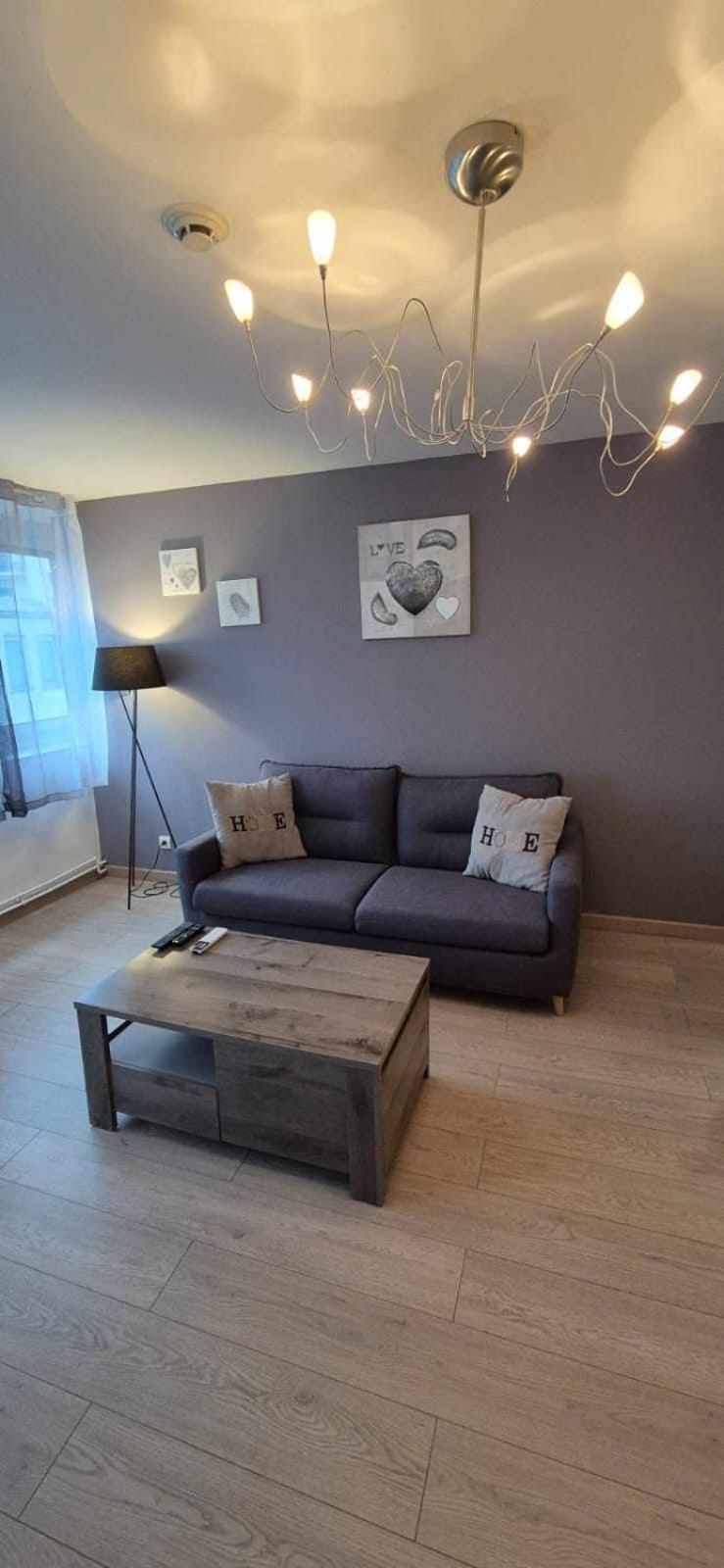 Nouveau !! Appartement Confortable Totalement Renove Avec Parking Gratuit - Hypercentre De ナンシー エクステリア 写真