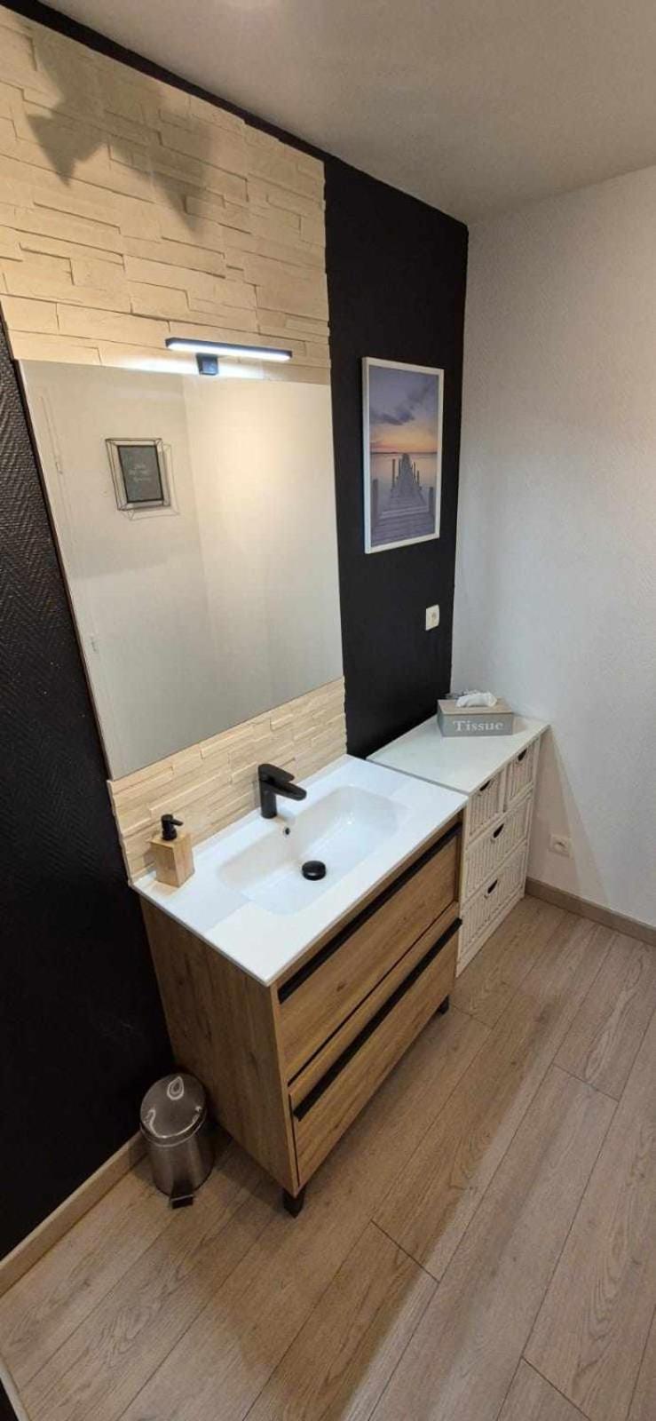 Nouveau !! Appartement Confortable Totalement Renove Avec Parking Gratuit - Hypercentre De ナンシー エクステリア 写真