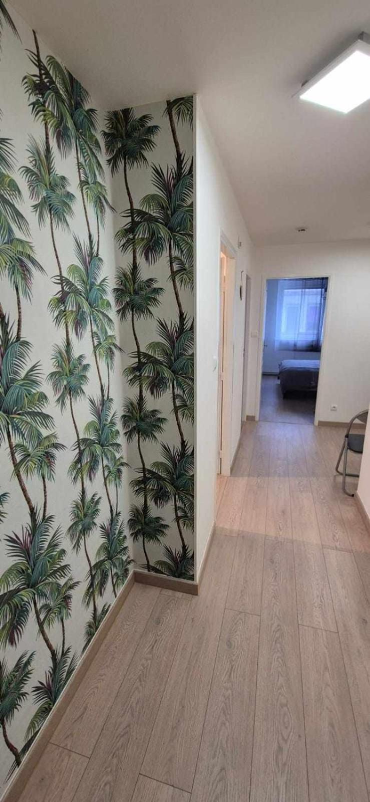 Nouveau !! Appartement Confortable Totalement Renove Avec Parking Gratuit - Hypercentre De ナンシー エクステリア 写真